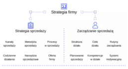 strategia-firmy